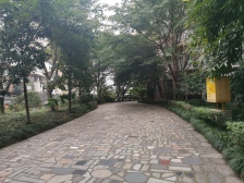 龙洲湾 明华龙洲半岛一房39万