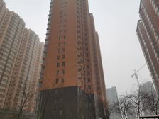 龙洲新城2室1厅南