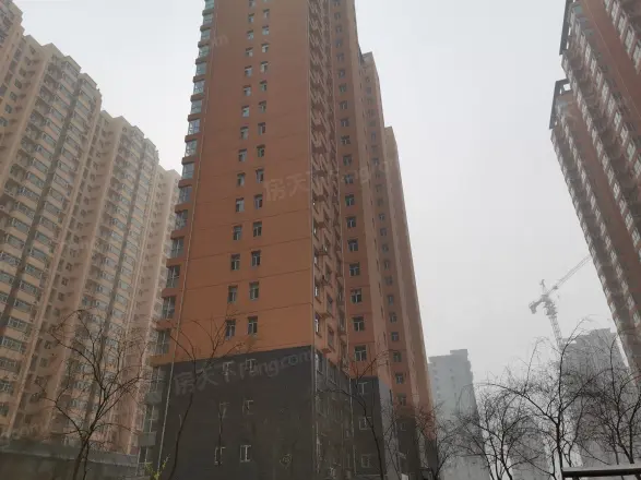 龙洲新城实景图