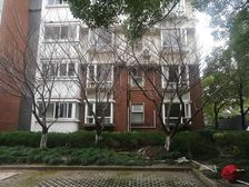 玫瑰苑4室2厅南北