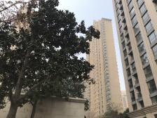 此房满五年不唯一,1%个税,楼层好,视野开阔,精装修