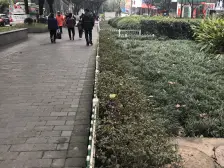 住宅性质,好出租,三套同一个业主,可单卖,整卖