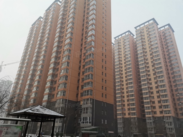 龙洲新城实景图