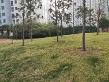 【优选好房】业主三年内重新装修 诚心出售