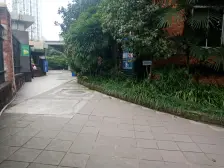 新东福花园 大户型 住家装修 安静 朝小区中庭