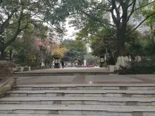 龙洲湾两房 户型方正 配套成熟 价格可谈 出行方便