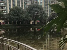 恒大名都大户型、正看人工湖、朝南、中间楼层视野开阔