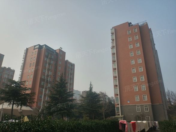 五号街坊实景图