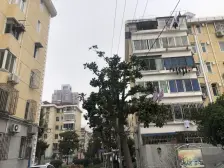 百联商圈,成熟社区,楼梯低楼层大三房