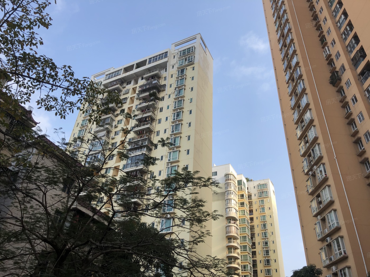 别名:新锦安雅园一期