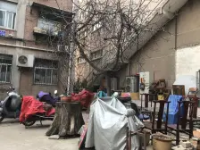 文化路沿线 工学院 地铁7号线 花园式社区 温馨四居