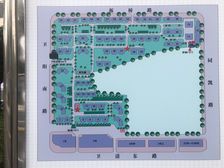 景观楼层采光充足通风好,近22号线金山卫站,价格好谈