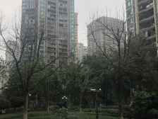 恒大名都 3室1厅 东南