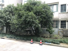 百联购物商圈旁,南北通大三房,楼下大花园