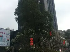 南沙自贸区金州繁华商圈,户型方正,平层