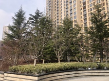 金海名园 3室2厅 南 北