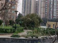 看房方便 采光充裕 业主急售 自住装修