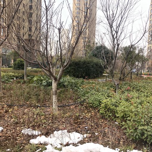  ����԰3��2��2���ϱ�����2400.00Ԫ/�³��� 