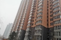 龙洲新城实景图