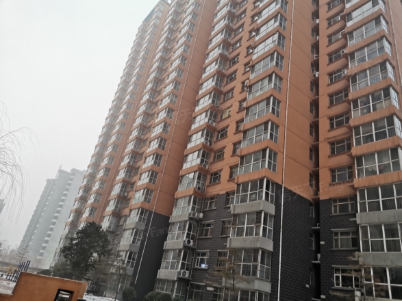 龙洲新城实景图