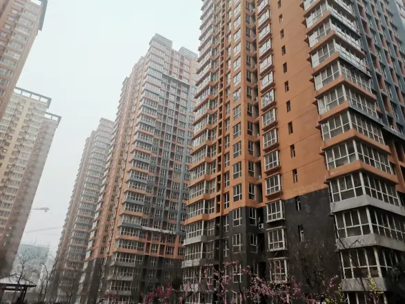 龙洲新城实景图
