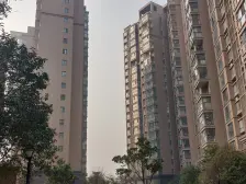 小区必看房 一室一厅的 价格可以谈