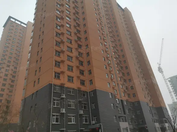 龙洲新城实景图