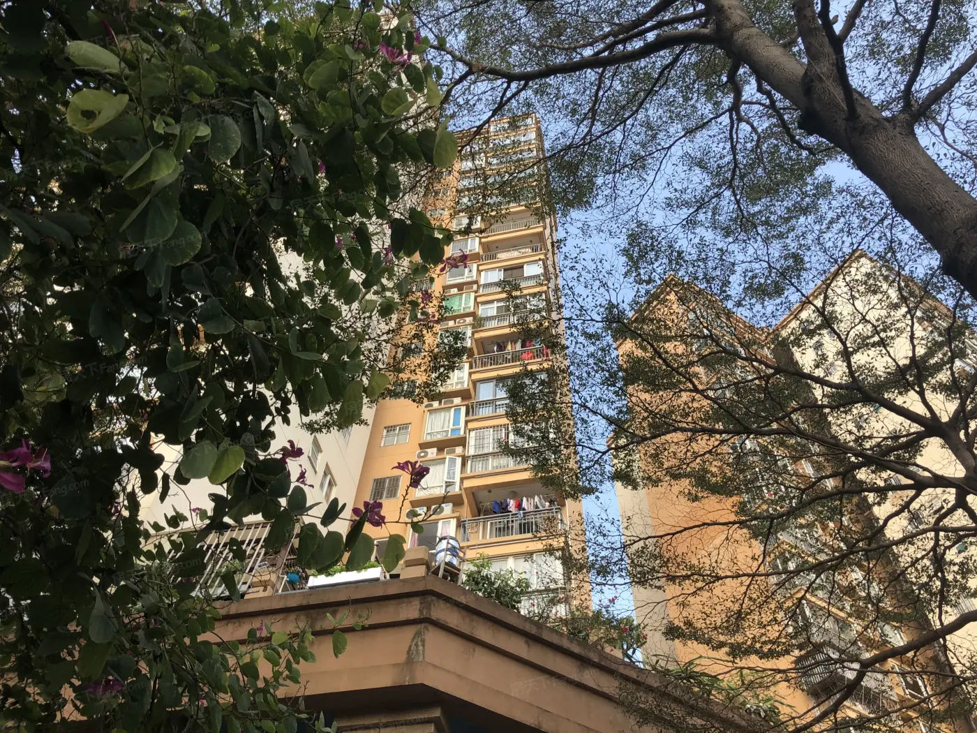 别名:新锦安雅园一期