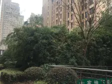 红谷滩毛坯复式 地段好