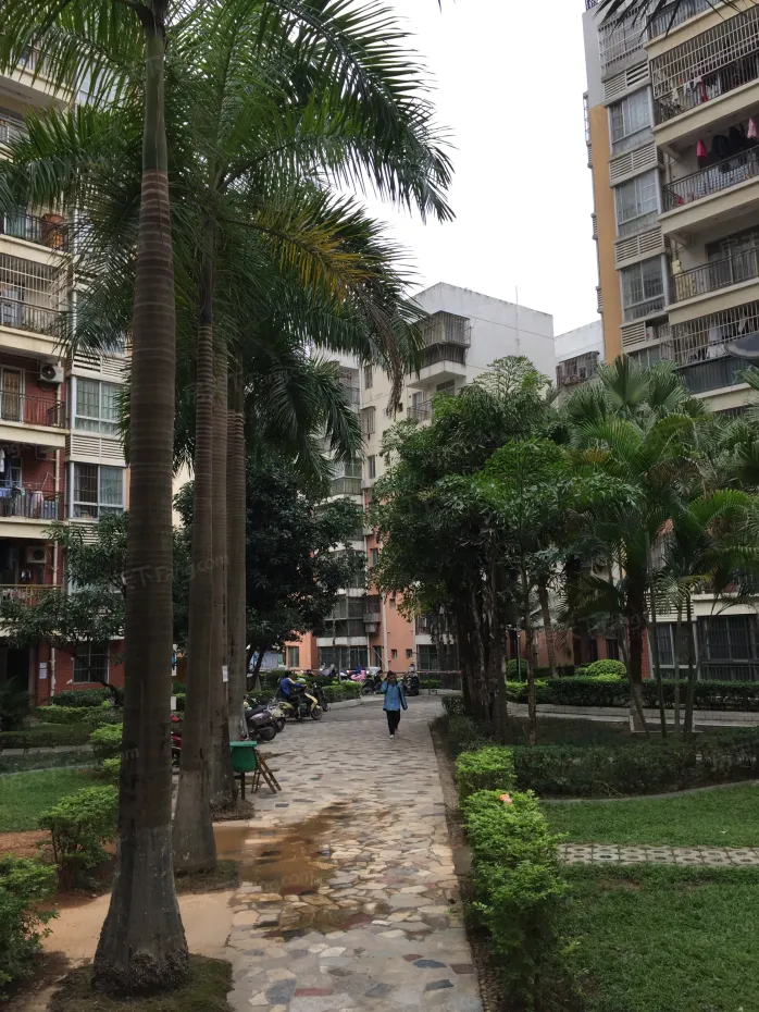 【南宁棕榈湾小区,二手房,租房】- 南宁房天下