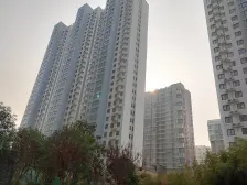 金水三环内,双气,南北通透,全明户型,满五唯一!