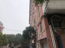 大面积三房两卫,中间楼层,采光好,视野好。