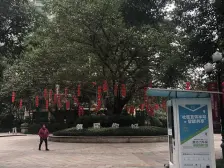 恒大学府 1室1厅 南 北