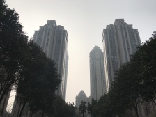 蓝堡湾一期,精装修,中间楼层,满五年,诚心卖