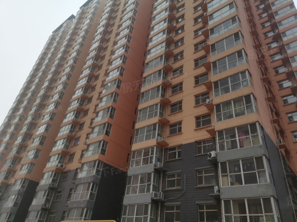 龙洲新城实景图