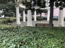 无抵押 现场实勘 随时看房,必看好房