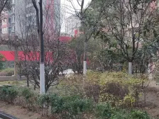 曙光苑113平大三房 两梯一户 安静舒适