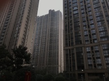 精装一室一厅 楼层好 视野好 拎包入住