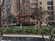 立体世界 精装修 带入户花园 附带入户花园 小区临河