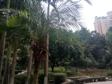 菜园坝 世纪花城三房56万