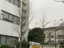 此房满五且只有一套,三开间朝南,楼层好,全明户型