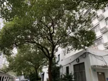 朝南大三房南北通,户型方正,全明视野采光nice