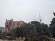 米兰春天5室2厅南北