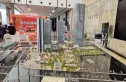 东江之星实景图