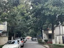 随时看房 中间楼层,新上房源