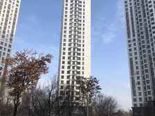 枫蓝国际 两室明厅 封闭小区 地铁1号3号线 房主急售