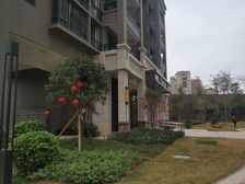 虎门印象 二期 业主急售看花园