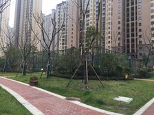 本小区大平层,全实木私人定制,家具家电全留