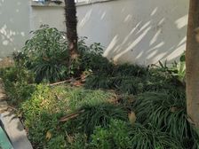 房东诚意出售,看房提前联系