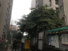 金沙兰亭2室2厅南